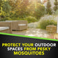 Buy now Raid Outdoor Yard Guard Mosquito Fogger, Area Insect Repellent, Kills On Contact, Control Mosquitoes up to 6 Hours, Covers up to 30 sq ft, Fast-Acting Yard and Garden Treatment, 16 oz at indiglob india