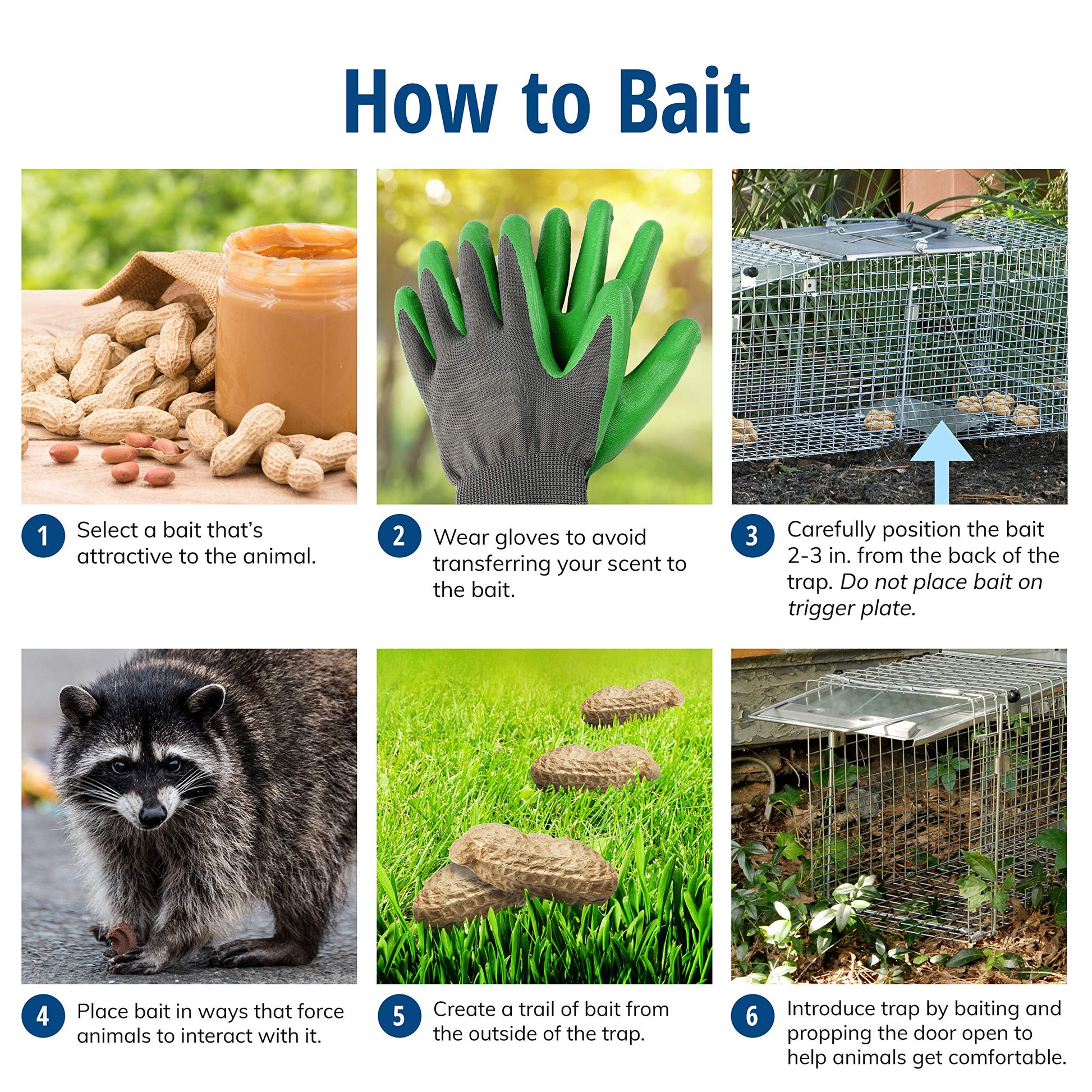 Buy now Havahart Large 2 Door Humane Catch and Release Live Animal Trap for Armadillos, Beavers, Bobcats, Small Dogs, Cats, Foxes, Groundhogs, Nutria, Opossums, Raccoons, Live Catch Trap for Stray Dogs 1045SR at indiglob india